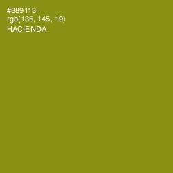 #889113 - Hacienda Color Image