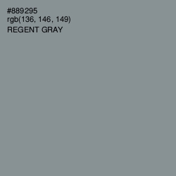 #889295 - Regent Gray Color Image