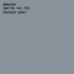 #889299 - Regent Gray Color Image