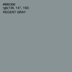 #889396 - Regent Gray Color Image