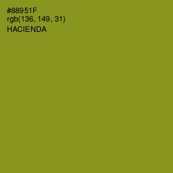 #88951F - Hacienda Color Image