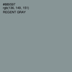 #889597 - Regent Gray Color Image