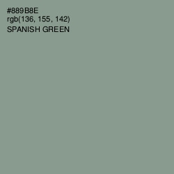 #889B8E - Spanish Green Color Image