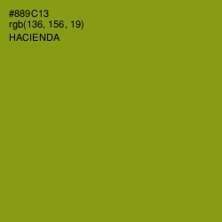 #889C13 - Hacienda Color Image