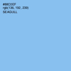 #88C0EF - Seagull Color Image