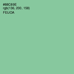 #88C89E - Feijoa Color Image