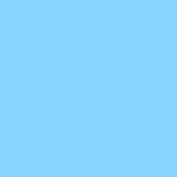 #88D6FF - Seagull Color Image