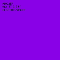 #8902E7 - Electric Violet Color Image