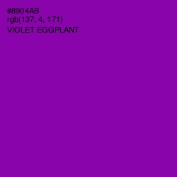 #8904AB - Violet Eggplant Color Image