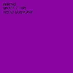 #8907A2 - Violet Eggplant Color Image