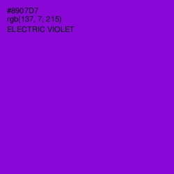 #8907D7 - Electric Violet Color Image