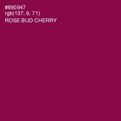 #890947 - Rose Bud Cherry Color Image