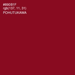#890B1F - Pohutukawa Color Image