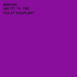 #890E9C - Violet Eggplant Color Image