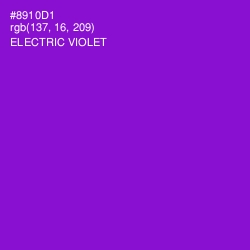 #8910D1 - Electric Violet Color Image