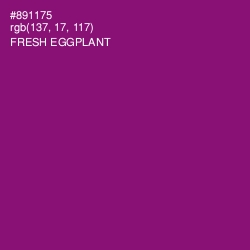 #891175 - Fresh Eggplant Color Image