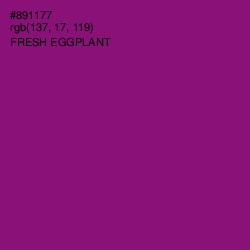 #891177 - Fresh Eggplant Color Image