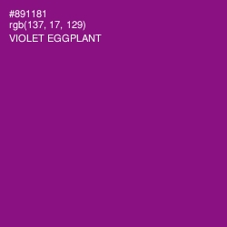 #891181 - Violet Eggplant Color Image