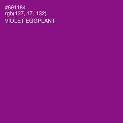 #891184 - Violet Eggplant Color Image