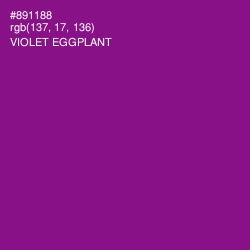 #891188 - Violet Eggplant Color Image