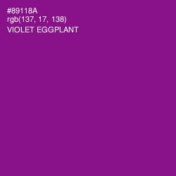 #89118A - Violet Eggplant Color Image