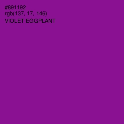 #891192 - Violet Eggplant Color Image