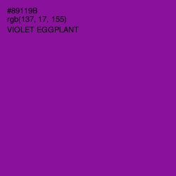 #89119B - Violet Eggplant Color Image