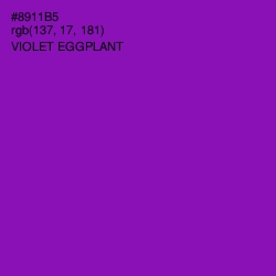 #8911B5 - Violet Eggplant Color Image