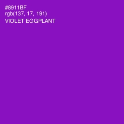 #8911BF - Violet Eggplant Color Image