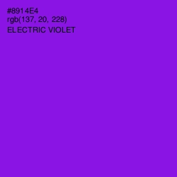 #8914E4 - Electric Violet Color Image