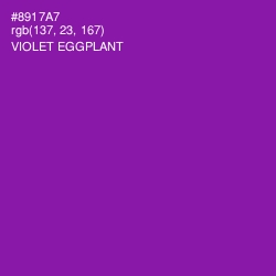 #8917A7 - Violet Eggplant Color Image