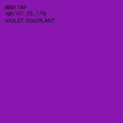 #8917AF - Violet Eggplant Color Image