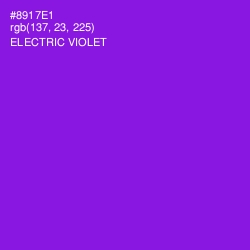 #8917E1 - Electric Violet Color Image