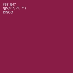#891B47 - Disco Color Image