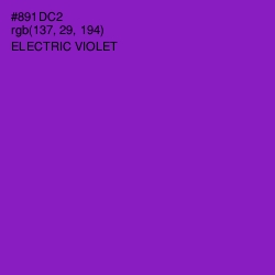 #891DC2 - Electric Violet Color Image