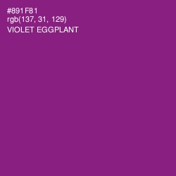 #891F81 - Violet Eggplant Color Image