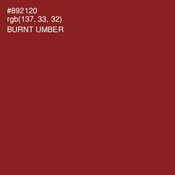 #892120 - Burnt Umber Color Image