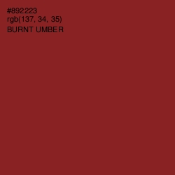 #892223 - Burnt Umber Color Image