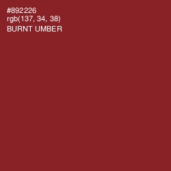 #892226 - Burnt Umber Color Image