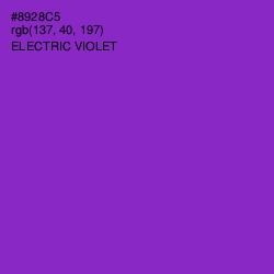 #8928C5 - Electric Violet Color Image