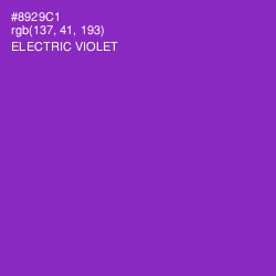 #8929C1 - Electric Violet Color Image
