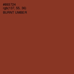 #893724 - Burnt Umber Color Image