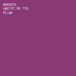 #893873 - Plum Color Image