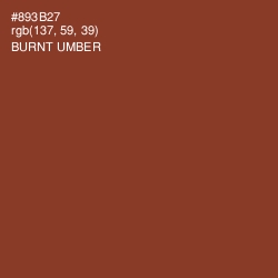 #893B27 - Burnt Umber Color Image