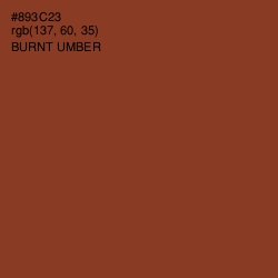 #893C23 - Burnt Umber Color Image