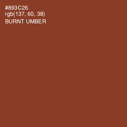 #893C26 - Burnt Umber Color Image