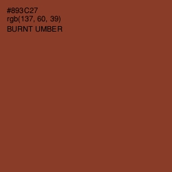 #893C27 - Burnt Umber Color Image