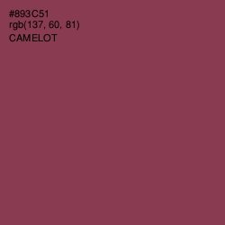 #893C51 - Camelot Color Image