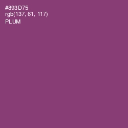 #893D75 - Plum Color Image