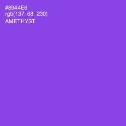 #8944E6 - Amethyst Color Image